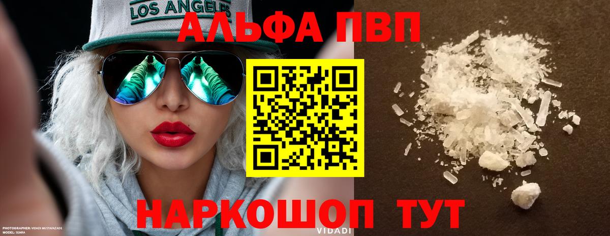 где найти   А ПВП  А ПВП СК  Альфа ПВП СК КРИС  Вход с VPN  A PVP крисы CK  Людиново 